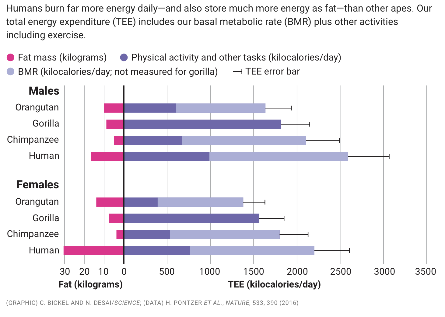 Human total energy expenditure compared with other primates.